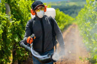 world health and safety in agriculture
